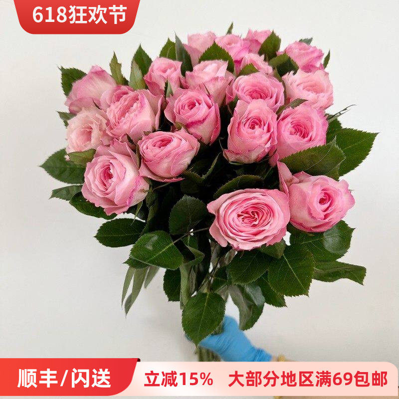 19朵梅拉玫瑰进口鲜花大朵淡香