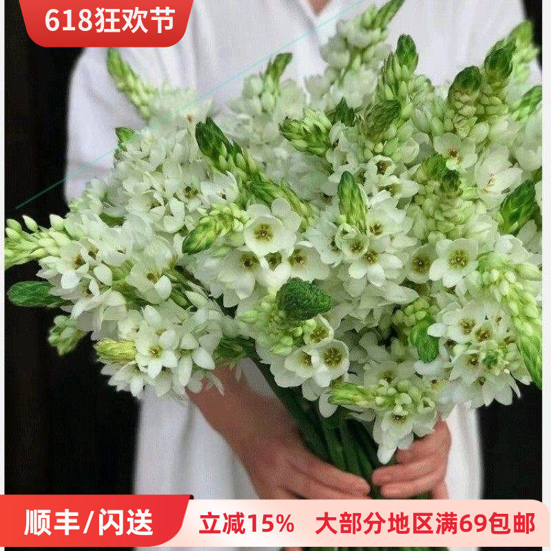 圣心百合 洁白花朵 花苞绽放 养眼醒目花卉 家居水瓶插花同城速递