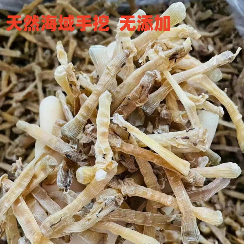 天然淡干大号沙虫干去沙袋海肠子海鲜干货 煲汤食材福建沙虫干