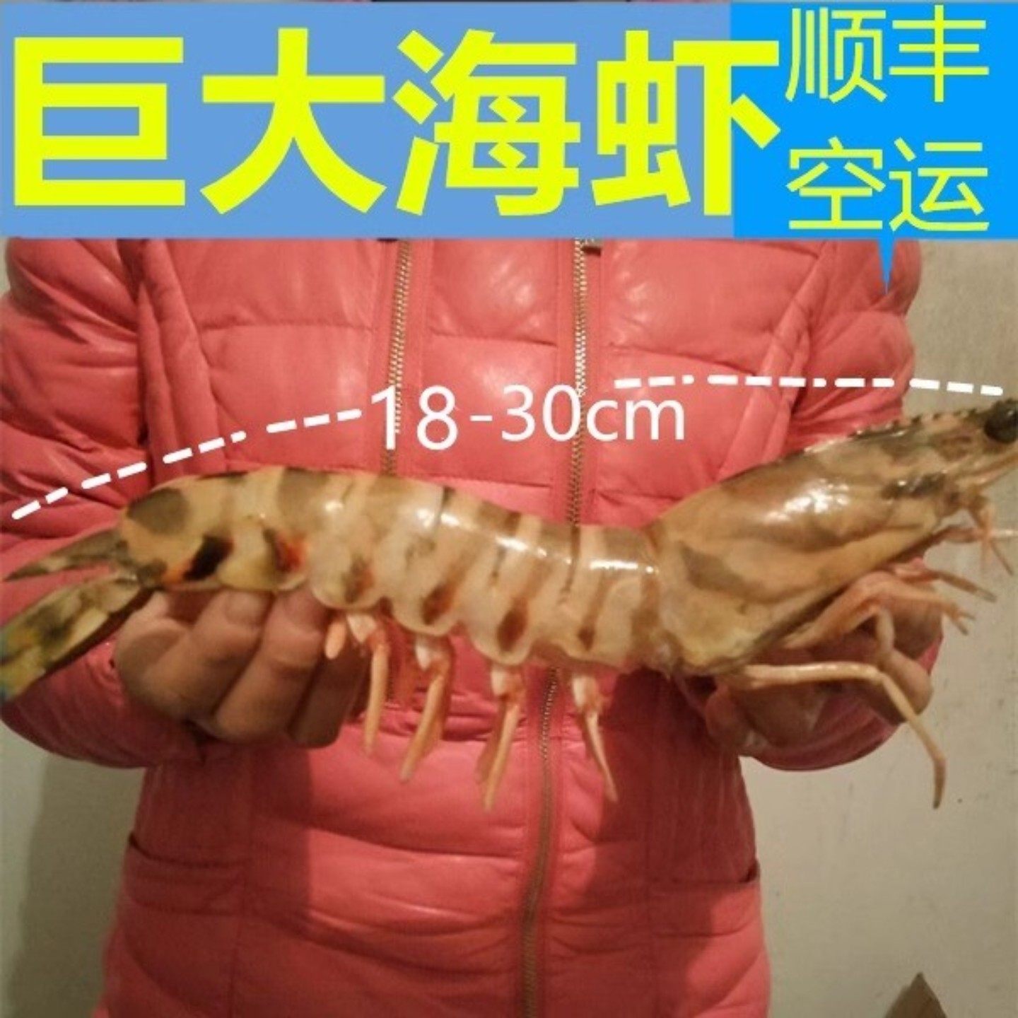 天然海鲜海捕海虾活虾斑节虾鲜活九节虾大虾竹节虾花虾黑虎虾