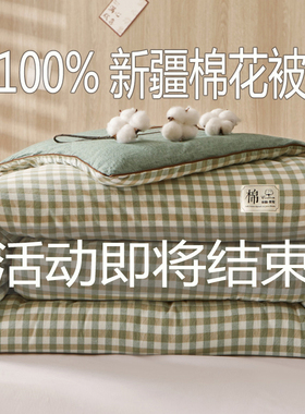 无印良风新疆被子纯棉花被冬季冬被芯加厚保暖单双人春秋四季通用