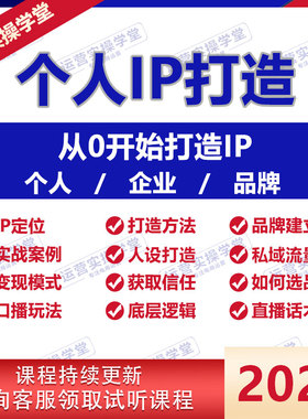 2024个人IP打造教程快速打造人设品牌定位营销课程私域变现教程