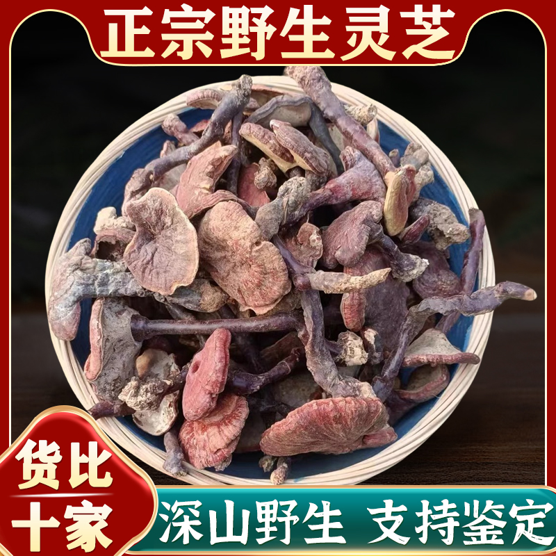 神农架纯野生灵芝整朵正品大小金边红赤灵芝泡酒专用切片养生茶水