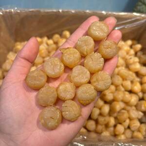 200头直孔贝500克特级大元贝200头瑶柱干贝无盐干货