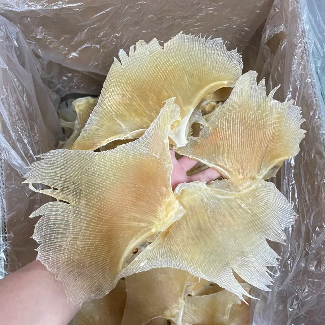 海狗翅鳐鱼翅天星边浦渔翅丝海产干货特产海鲜煲汤500g