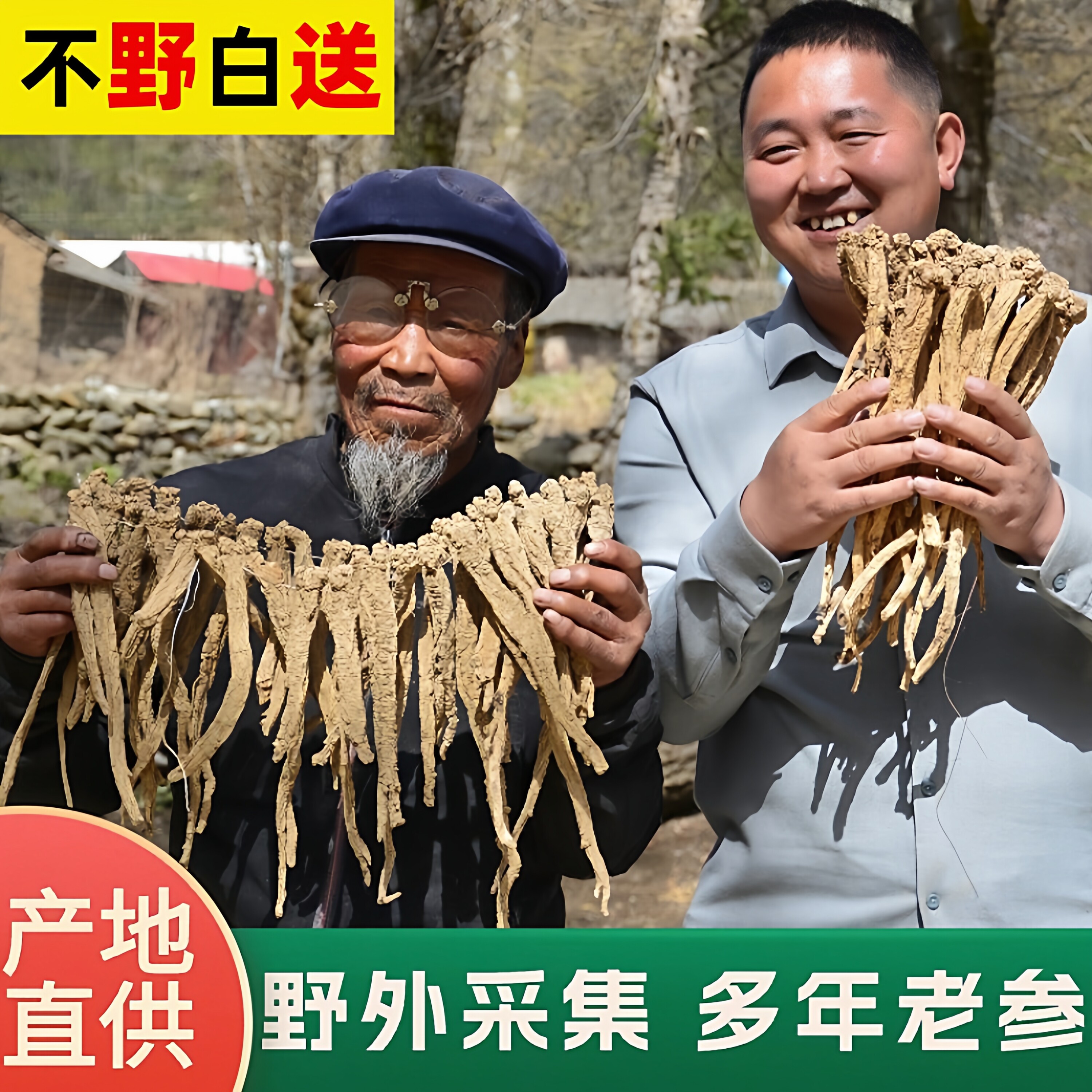 甘肃纹党参中药材野生特级500g整条可搭当归黄芪组合补益当参气血