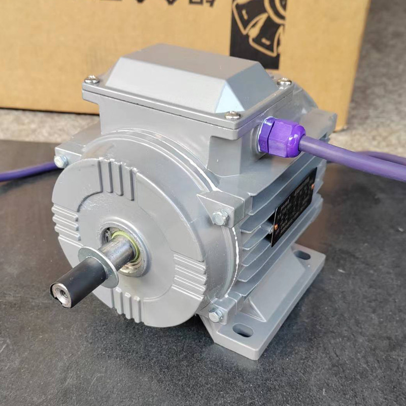 耐高温风机电机浙东理通YSGW系列