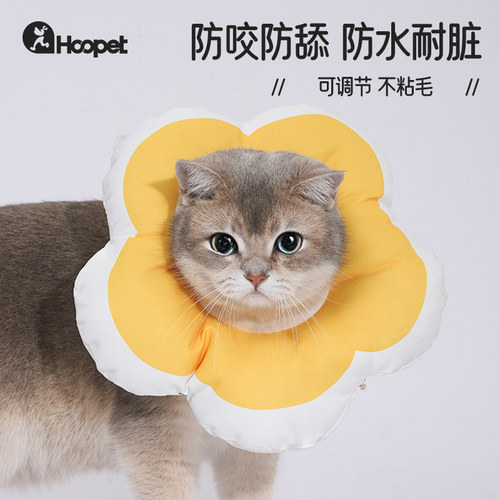 猫咪伊丽莎白圈狗狗头套防咬防舔