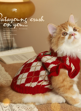 猫咪衣服冬季的猫猫布偶红色秋冬毛衣宠物背心狗狗小猫保暖狗新年