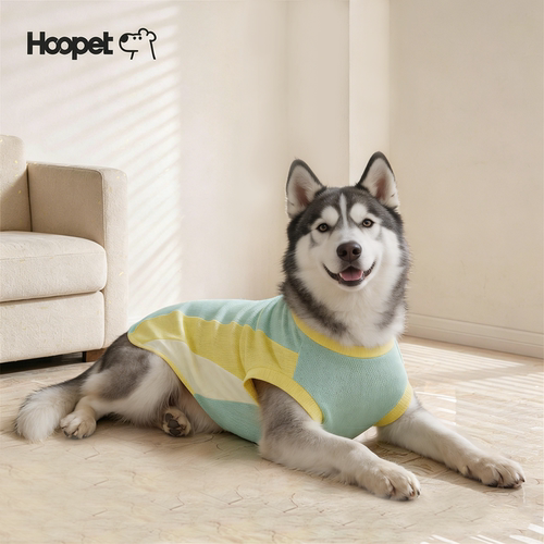 中大型犬背心可爱撞色透气