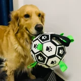 Собачьи игрушечные шарики, чтобы укусить артефакт, большие собаки, нечистый собачий мяч, футбол, домашние животные золотистого ретривера потребляют физическую силу лабрадо