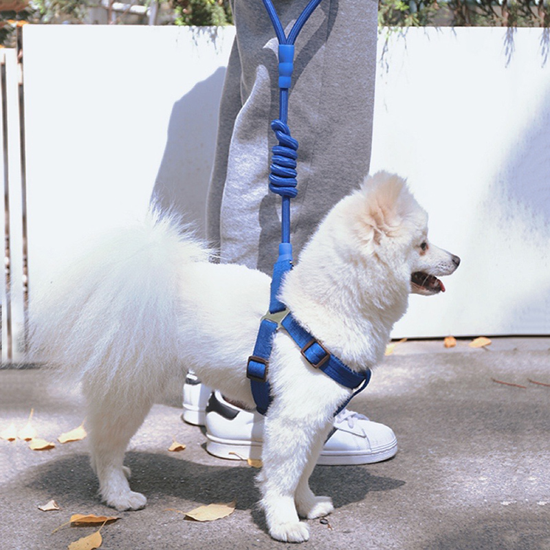 狗狗牵引绳猫咪绳子遛狗小型犬防挣脱背心式狗链外出牵狗绳胸背带 宠物/宠物食品及用品 狗牵引绳 原图主图