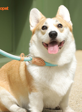 狗狗牵引绳P绳遛狗绳子一体式防挣脱中大型犬防爆冲p链牵狗绳狗链