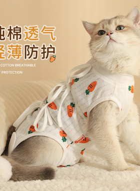 猫咪绝育服母猫手术后衣服宠物猫猫术后防舔公猫小猫的伊丽莎白圈