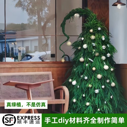 圣诞树大型真植物赠装饰