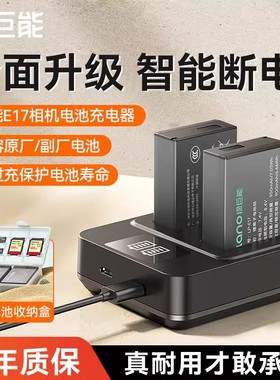 绿巨能LP-E17相机电池适用R50佳能r8 m6mark2 R10 RP 200D二代750D 760D 800D 850D M5 M6 M3单反77D充电器