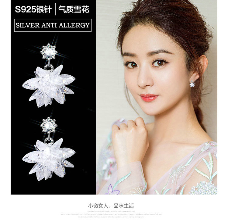 水晶雪花长款锆石流苏耳环新品