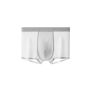 内裤 凉感10A抗菌聚乳酸男士 小西专享