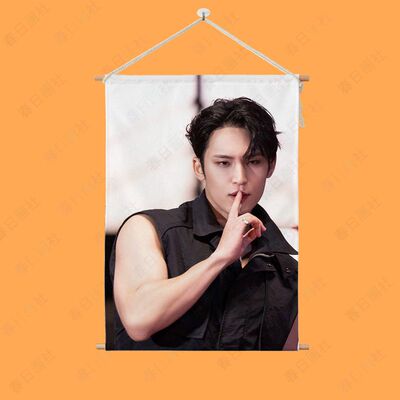 Mingyu圆杆挂画次团kpop金珉奎