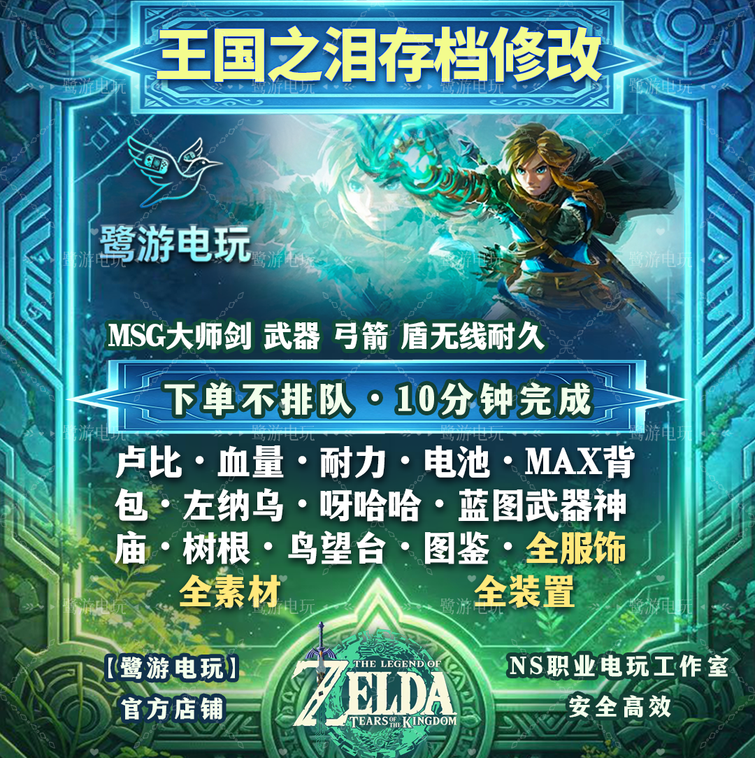 NS Switch2 塞尔达王国之泪 存档修改 卢比耐力道具素材msg大师剑