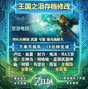 NS Switch2 塞尔达王国之泪 存档修改 卢比耐力道具素材msg大师剑