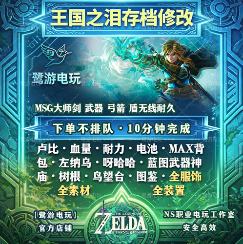 NS Switch2 塞尔达王国之泪 存档修改 卢比耐力道具素材msg大师剑