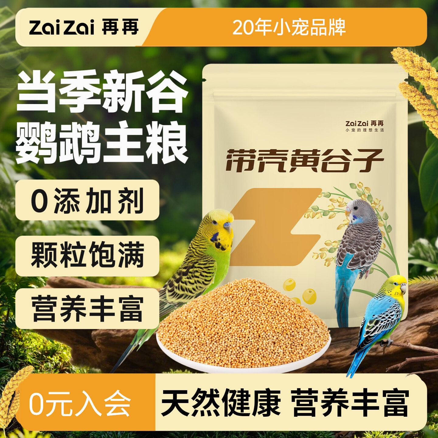 再再中小型鹦鹉当季新带壳黄谷子图片