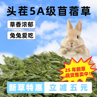 2025紫花苜蓿草烘干草食用草料