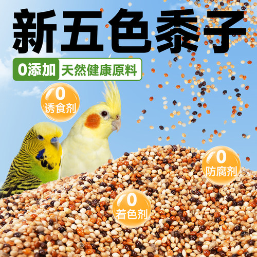 再再五色黍子混合带壳谷物5斤
