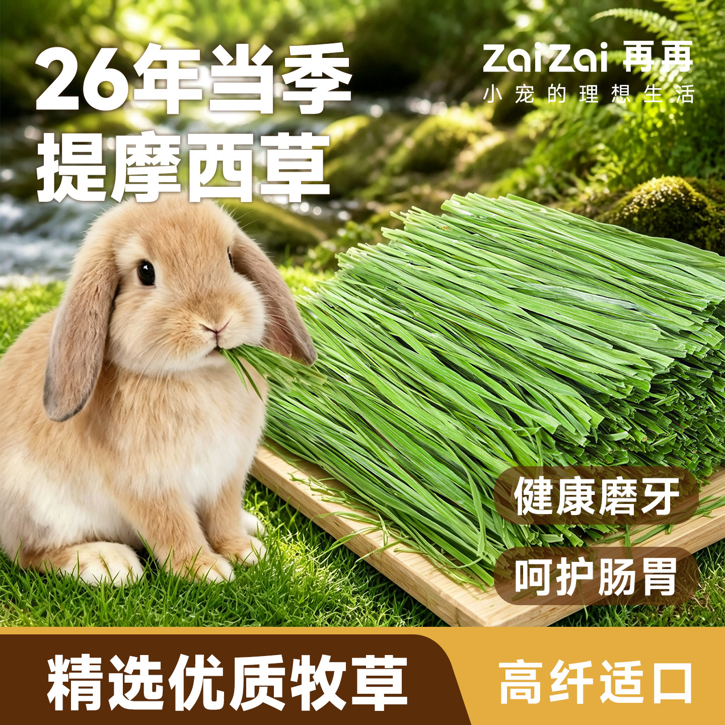 再再提摩西草兔兔爱吃！美味高纤图片