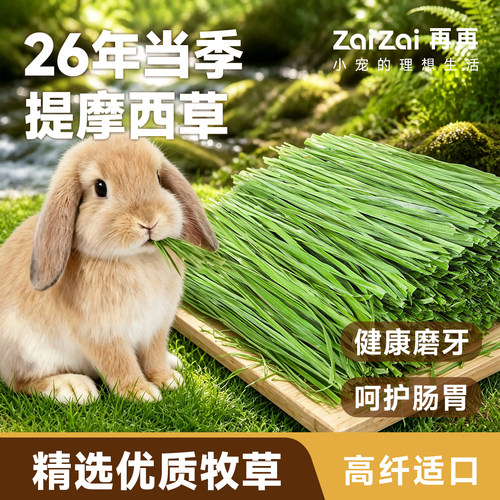 再再提摩西草兔兔爱吃！美味高纤