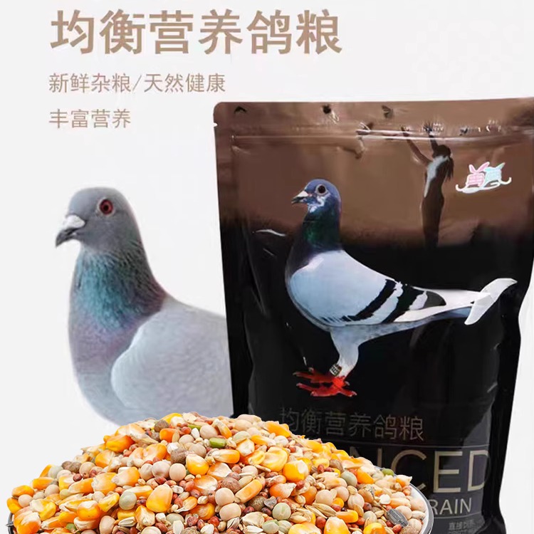 再再鸟粮鸟食鸽子食粮饲料幼鸽高粱豌豆专用优质营养补充五谷杂粮