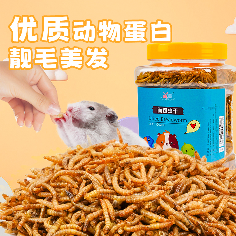 美味不上火！只只饱满面包虫干