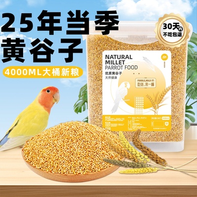 再再带壳新鹦鹉黄谷子大桶装