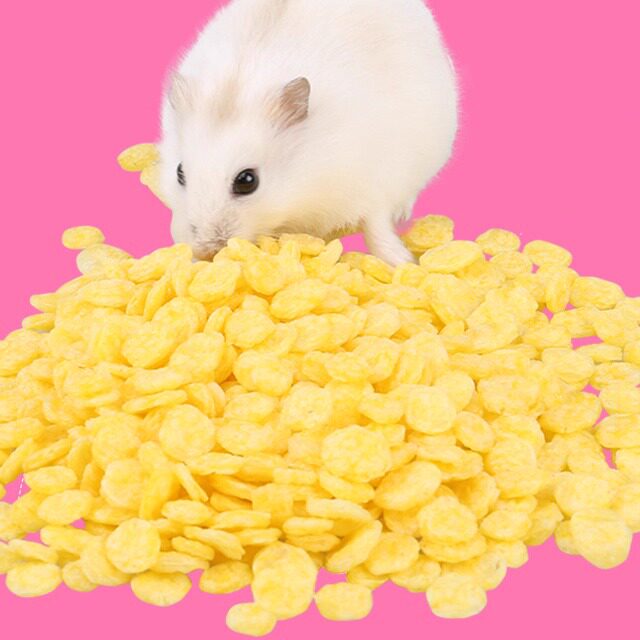 再再仓鼠粮食玉米片金丝熊小零食主粮荷兰猪营养龙猫饲料食物100g,宠物/宠物食品及用品,鼠粮,淘宝优惠券,粉丝福利购,淘宝优惠卷