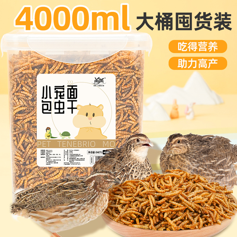 高蛋白不挑食芦丁鸡专用面包虫干