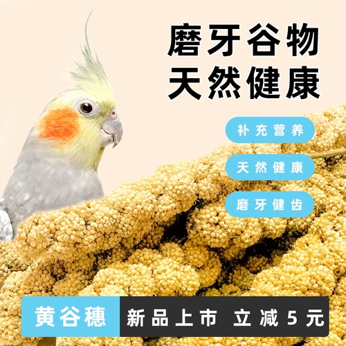 Попугай натуральные уши с оболочкой желто -зерно просо Черный Phoenix Tiger Skin Специальные продукты кормить жемчужные птичьи закуски