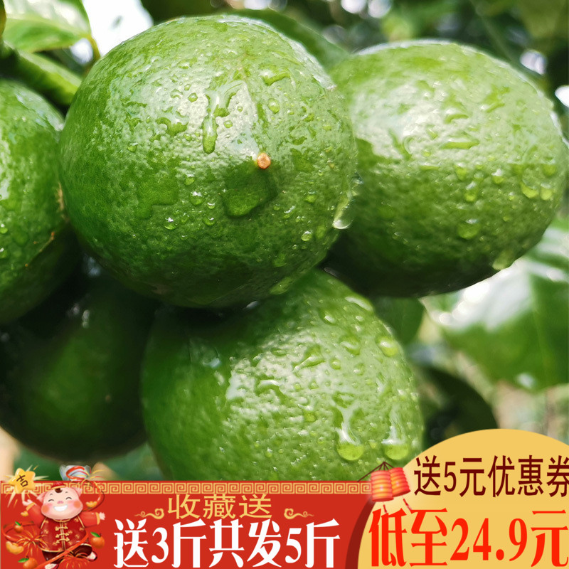 限5000张券新鲜一级大柠檬皮薄多省免邮青柠檬