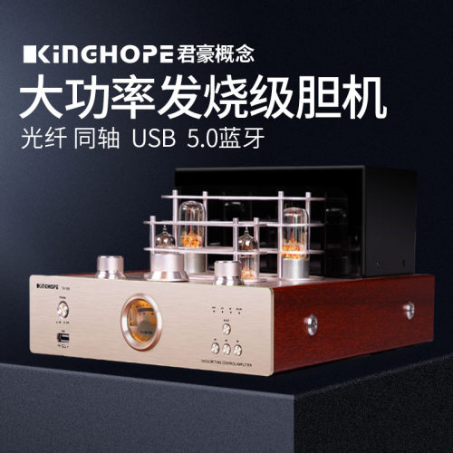 发烧hifi电子管胆机DVDCD组合