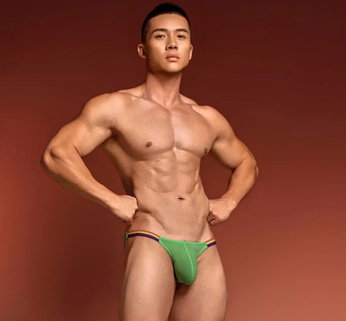 PM午夜时刻男士U凸囊袋低腰紧身个性三角内裤