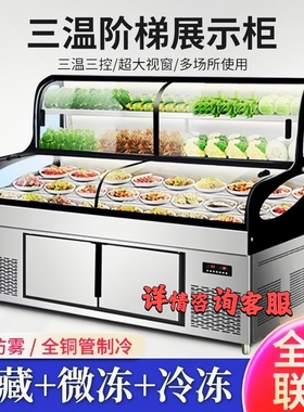 鼎盛三温五六阶梯海鲜冰台展示柜烧烤炸串冷藏冷冻饭店明档点菜柜