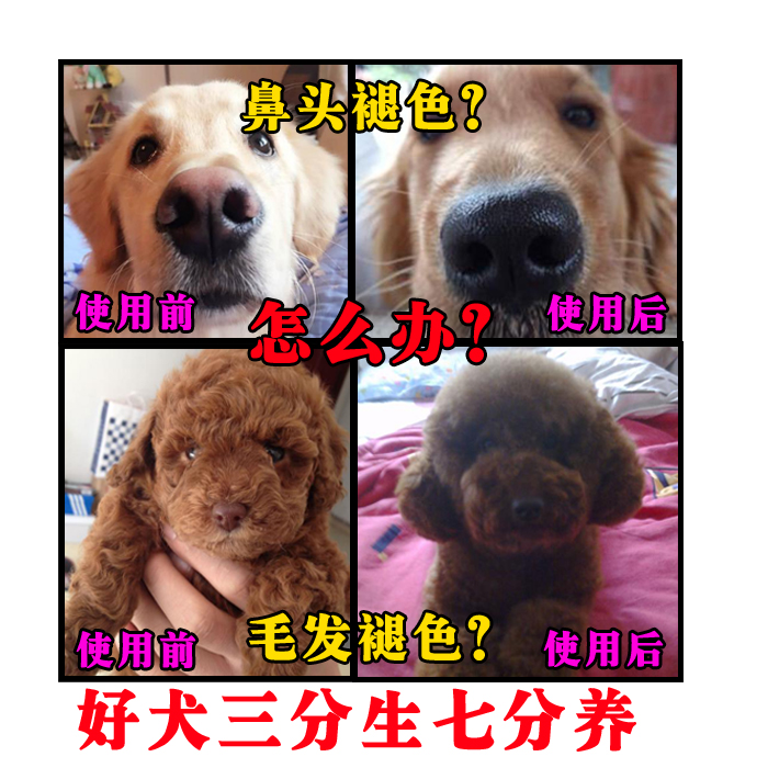 非麥德氏卵磷脂美國in寵物海藻粉泰迪天然美毛粉狗狗金毛230克