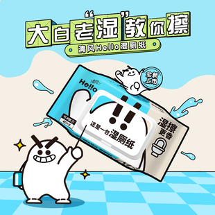 清风湿厕纸40片便携带盖厕纸清洁散擦屁屁可冲马桶卫生纸湿巾