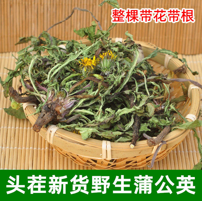 蒲公英野生天然婆婆丁中药材