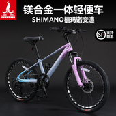 上海凤凰儿童自行车山地车镁合金学生男女同学轻便小孩变速单车