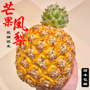 芒果凤梨台农23号海南芒果味凤梨树上熟现摘现发顺丰礼盒2颗包邮