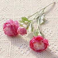 Purple -Red 1 (Lilian)