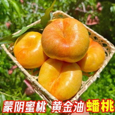 山东黄金油蟠桃现摘整箱甜桃子孕妇当季新鲜水果黄桃扁桃黄油蟠桃