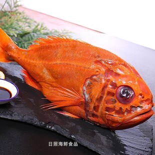 长寿鱼新鲜鲷鱼冷冻新西兰长寿鱼南极橙鱼特大2.7-3.2斤左右1条