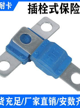 汽车平板式保险丝小双孔螺栓叉栓式电瓶大电流40A-175A